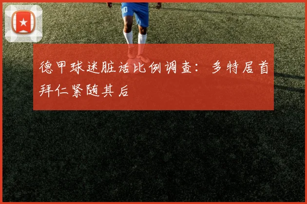 德甲球迷脏话比例调查：多特居首拜仁紧随其后