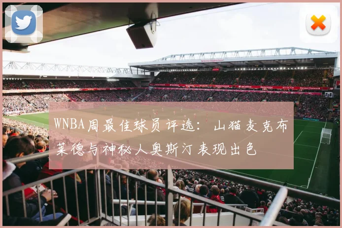 WNBA周最佳球员评选：山猫麦克布莱德与神秘人奥斯汀表现出色